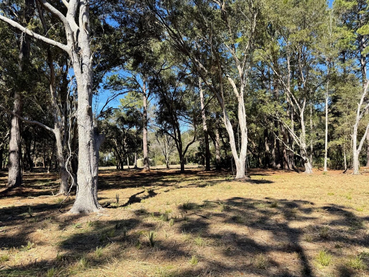 32 Marsh Aire Lane Photo 21