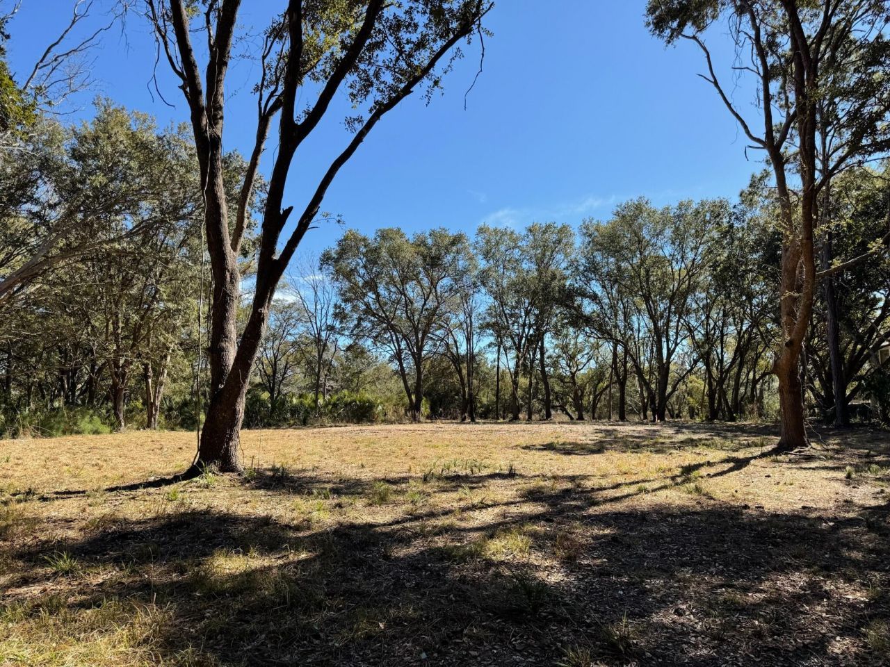 32 Marsh Aire Lane Photo 22