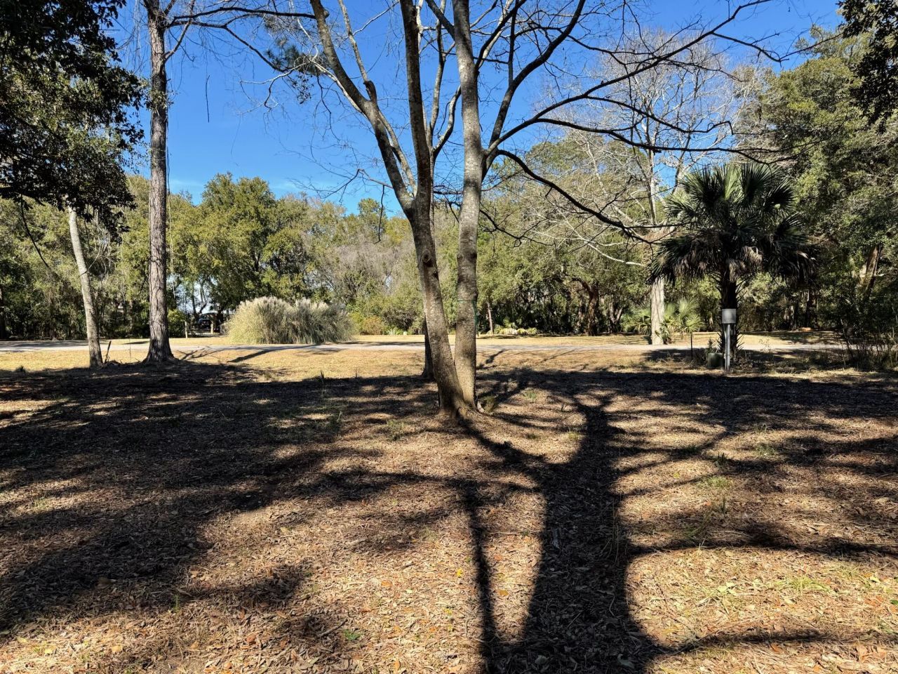 32 Marsh Aire Lane Photo 23