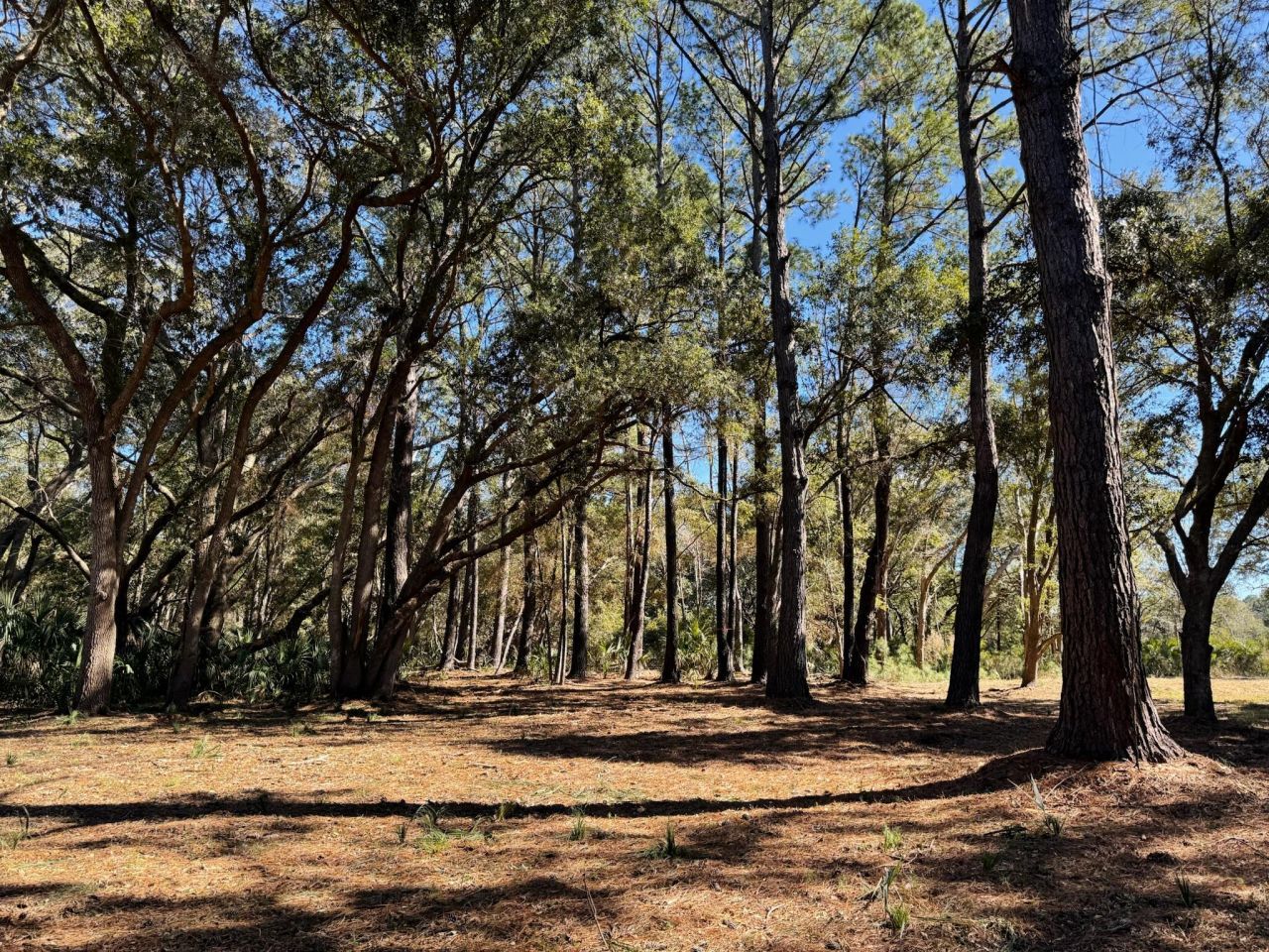 32 Marsh Aire Lane Photo 24