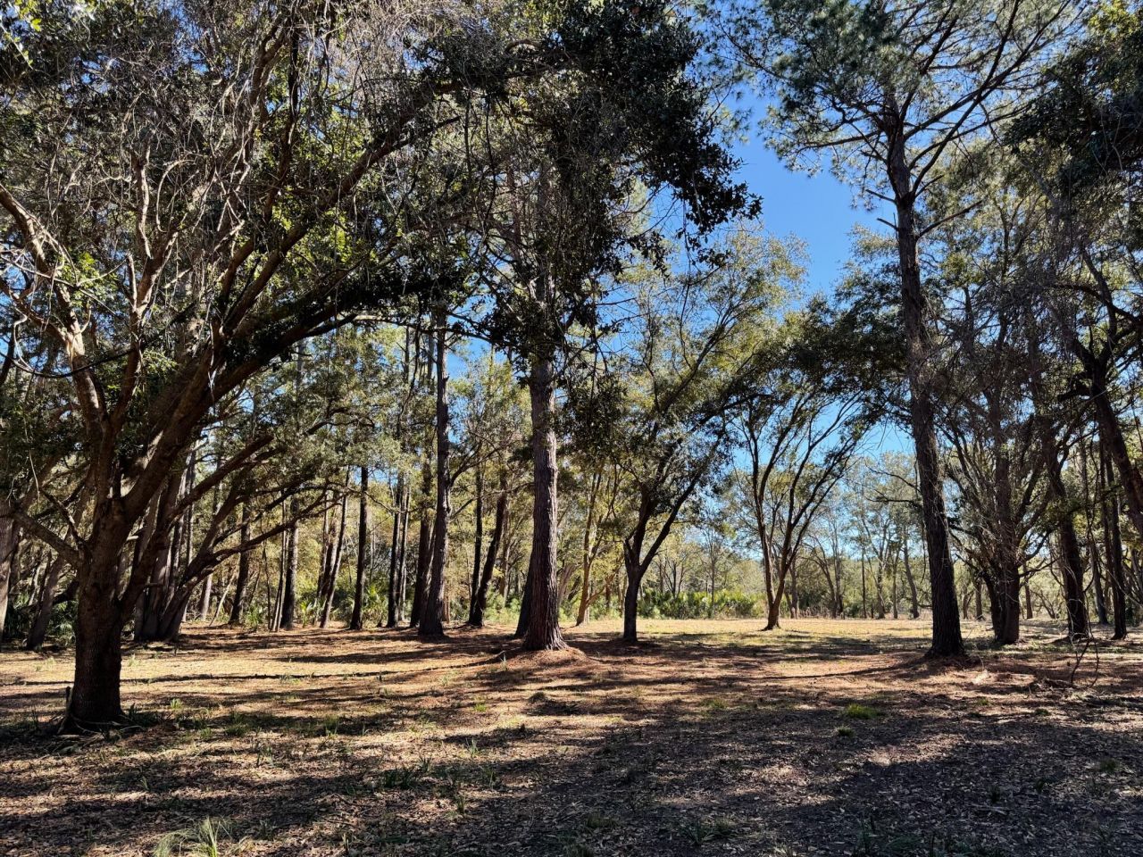 32 Marsh Aire Lane Photo 25