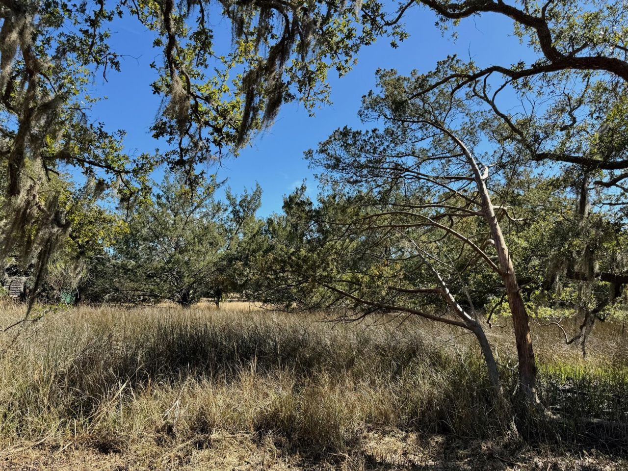 32 Marsh Aire Lane Photo 3