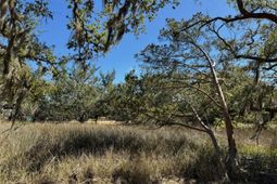 32 Marsh Aire Lane photo 4