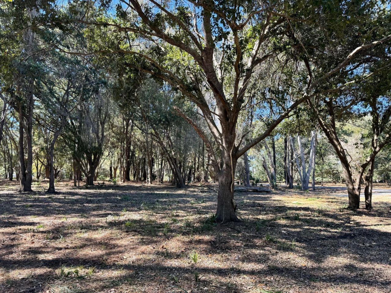 32 Marsh Aire Lane Photo 4