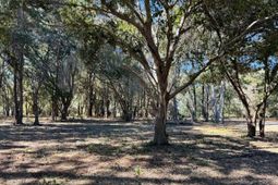 32 Marsh Aire Lane photo 4