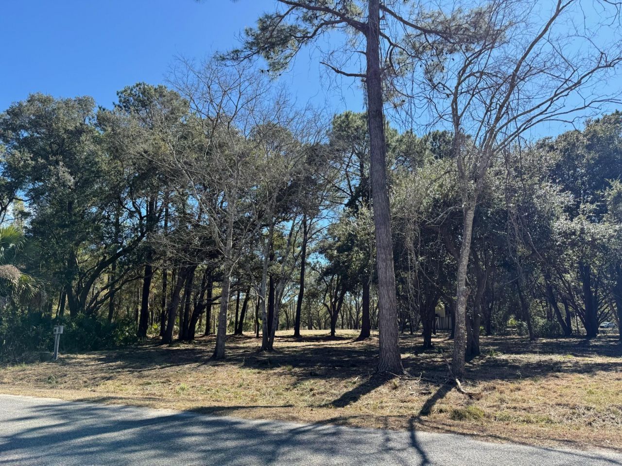 32 Marsh Aire Lane Photo 6