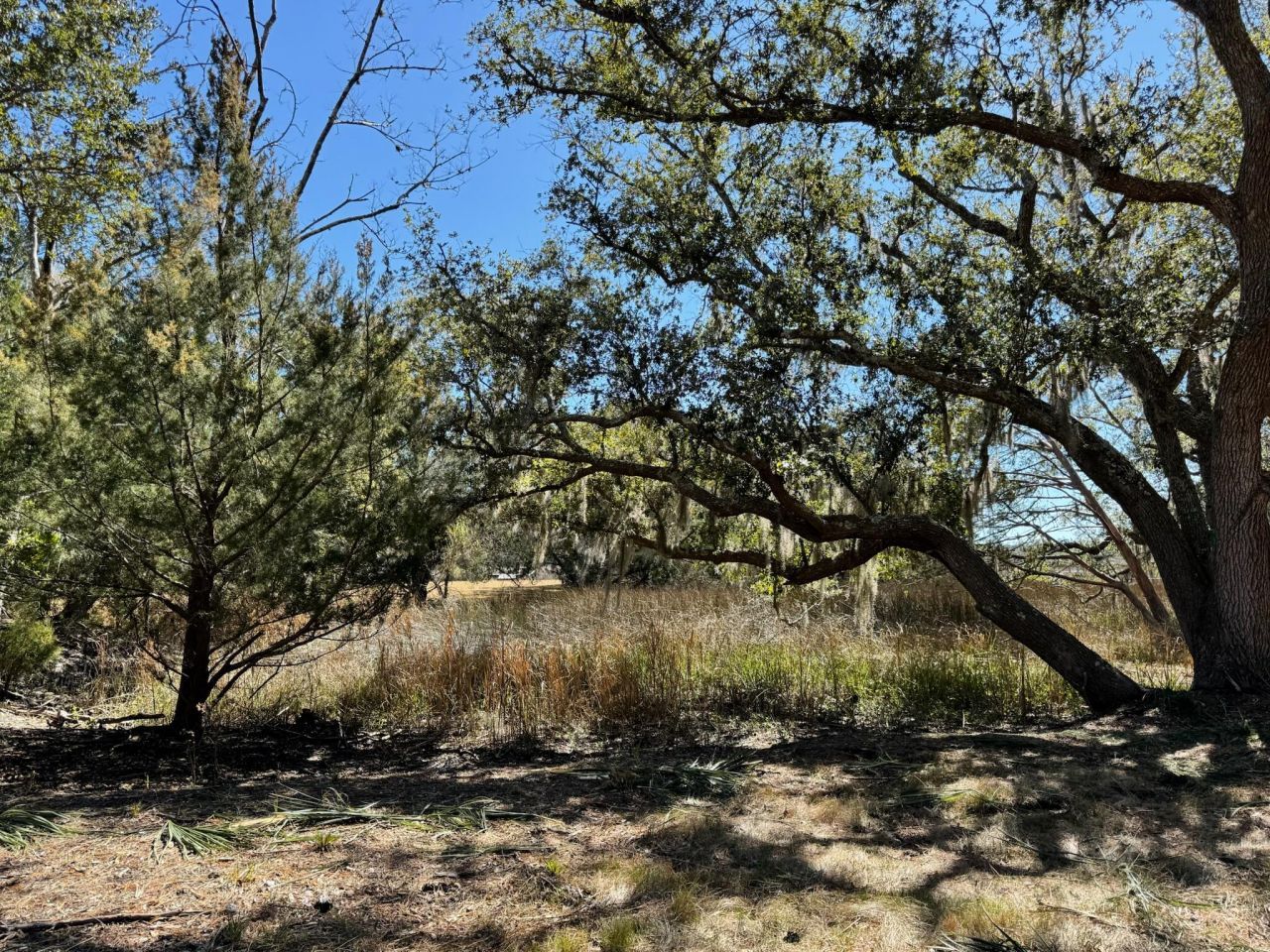 32 Marsh Aire Lane Photo 8