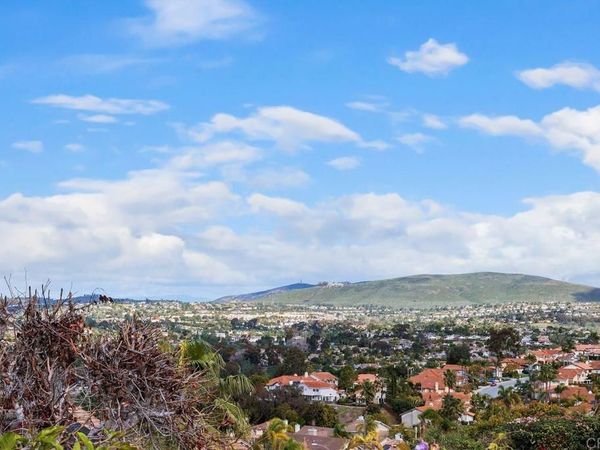 1402 Village View Road, Encinitas, CA 92024