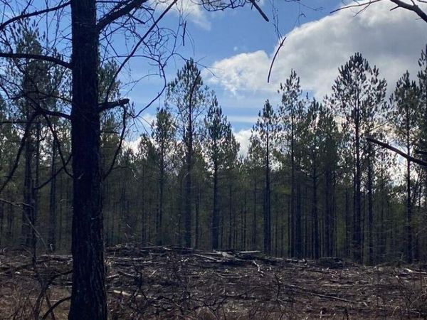 Lot 5 Thomas Springs Road, Crossville, TN 38572