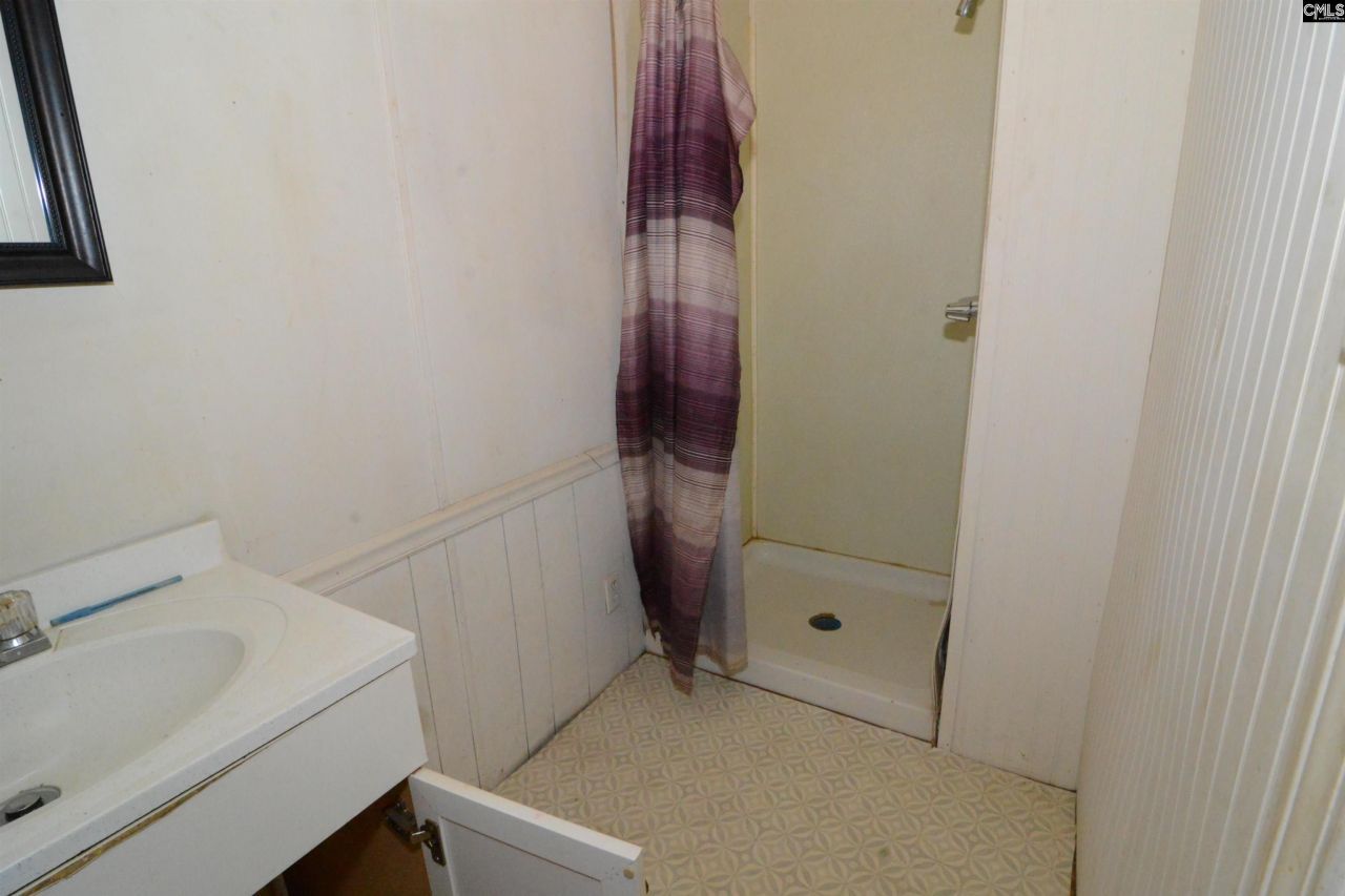 423 Palmer Street  Photo 13