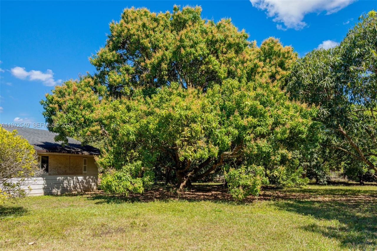 19401 SW 264th St, Homestead, FL 33031 Photo