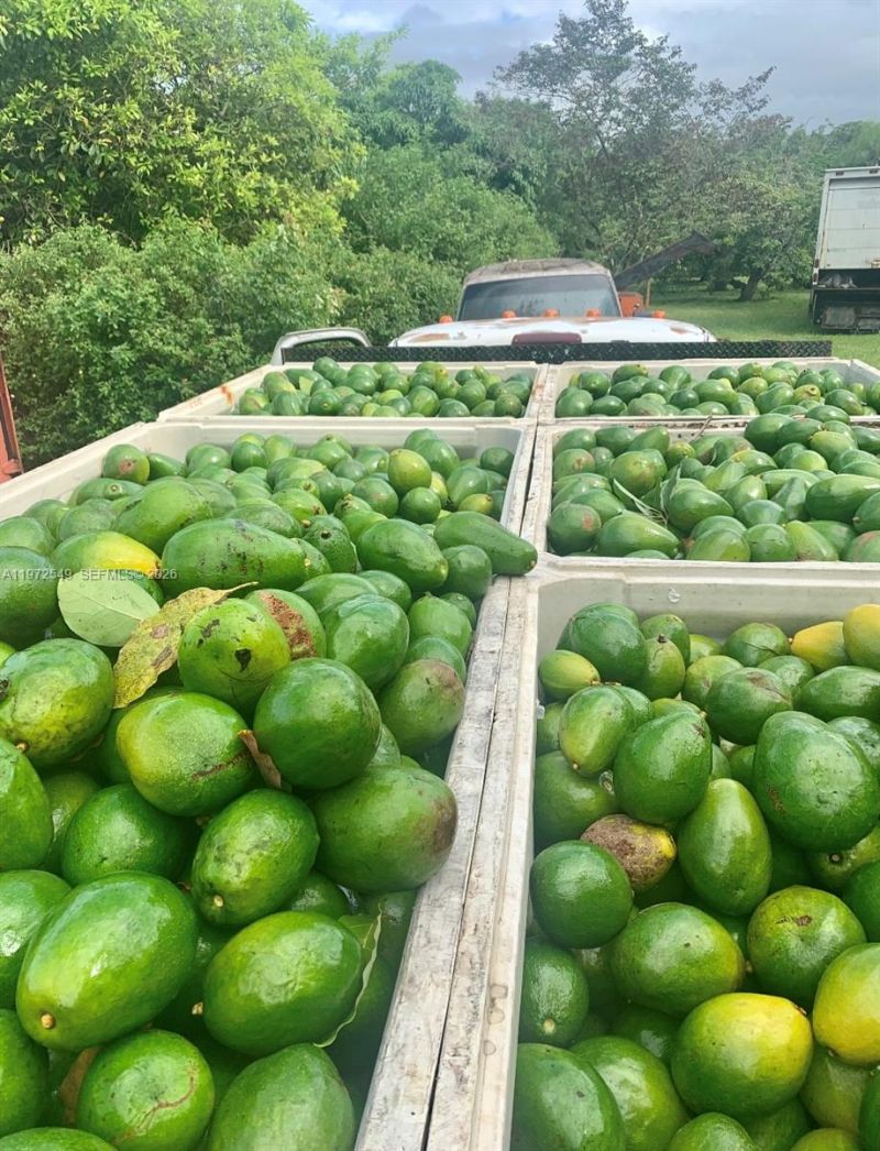 19401 SW 264th St, Homestead, FL 33031 Photo