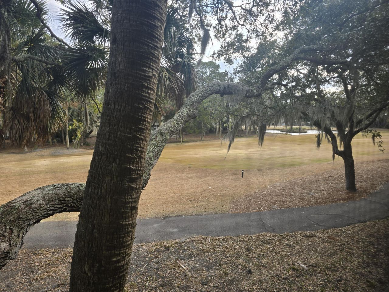 761 Summerwind Circle Photo 13