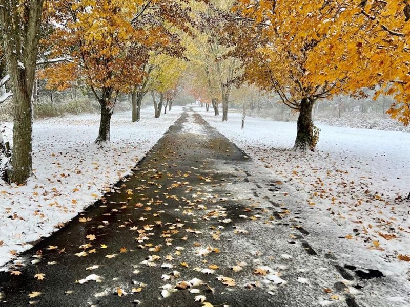 3574 Mclean Road, Franklin Twp, OH 45005 Photo 47