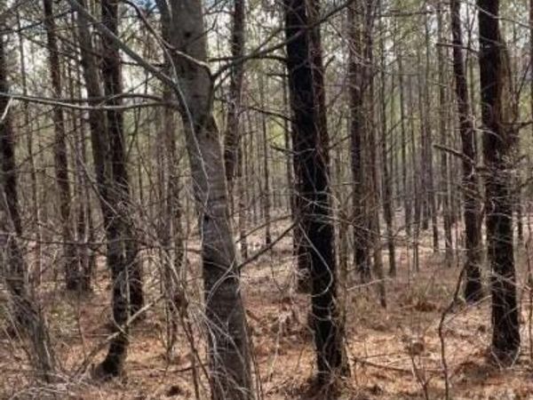 Lot 7 Thomas Springs Road, Crossville, TN 38572