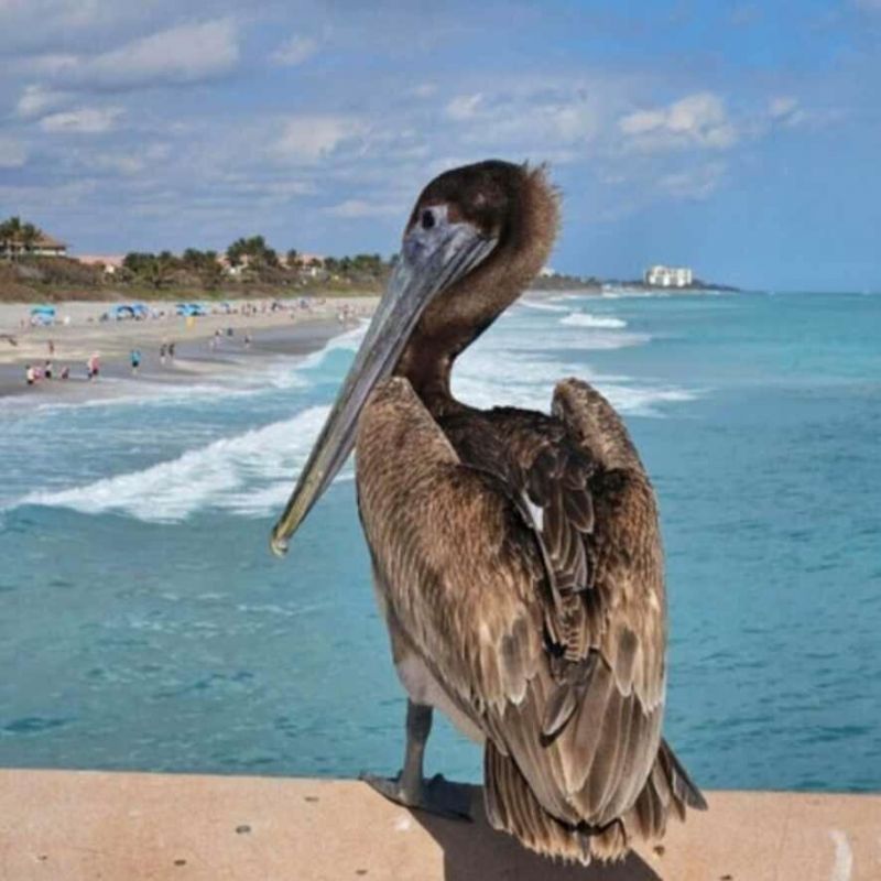 1306 Mainsail Circle, Jupiter, FL 33477 Photo