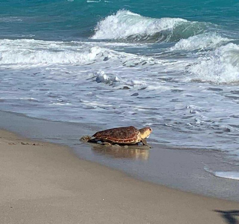 1306 Mainsail Circle, Jupiter, FL 33477 Photo