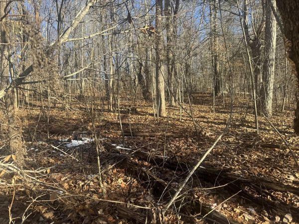 280 Chapman Road , Dunlap, TN 37327