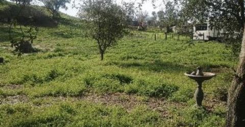 7824 Bollea Rd, Wallace, CA 95254 Photo