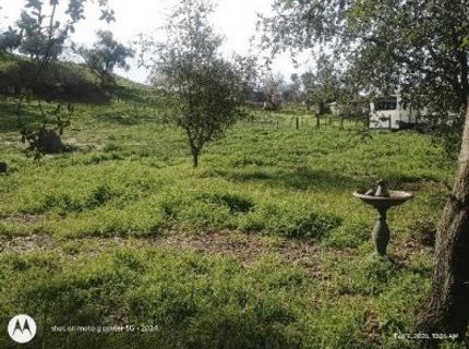 7824 Bollea Rd, Wallace, CA 95254 Photo