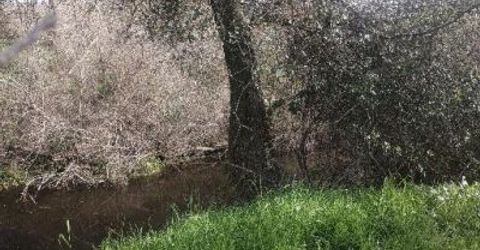 7824 Bollea Rd, Wallace, CA 95254 Photo