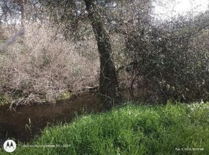 7824 Bollea Rd, Wallace, CA 95254 Photo