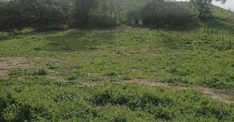 7824 Bollea Rd, Wallace, CA 95254 Photo