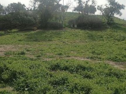 7824 Bollea Rd, Wallace, CA 95254 Photo