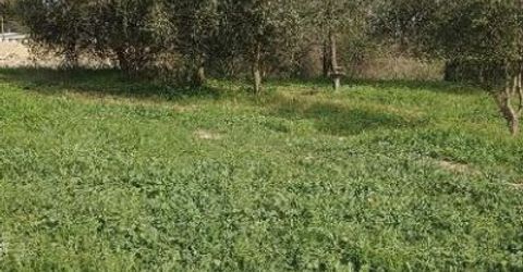 7824 Bollea Rd, Wallace, CA 95254 Photo