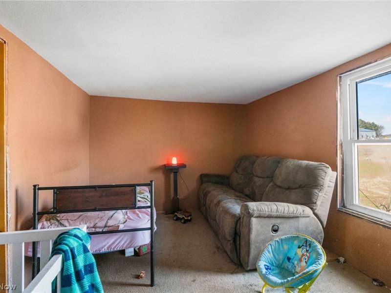 3188 Amsterdam Road SE, Scio, OH 43988 Photo 34