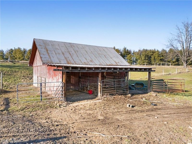 3188 Amsterdam Road SE, Scio, OH 43988 Photo 36