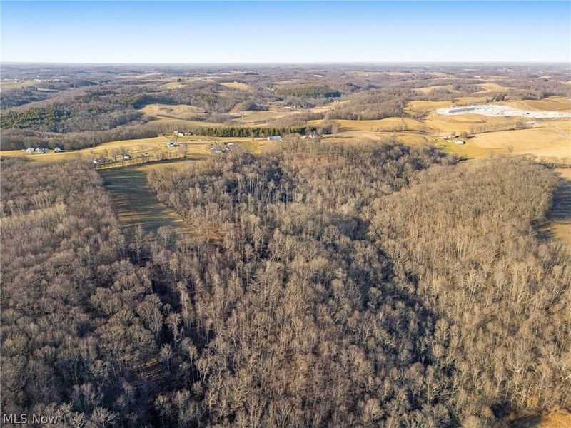 3188 Amsterdam Road SE, Scio, OH 43988 Photo 40