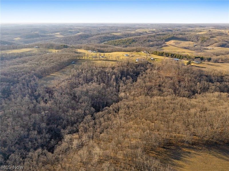 3188 Amsterdam Road SE, Scio, OH 43988 Photo 41