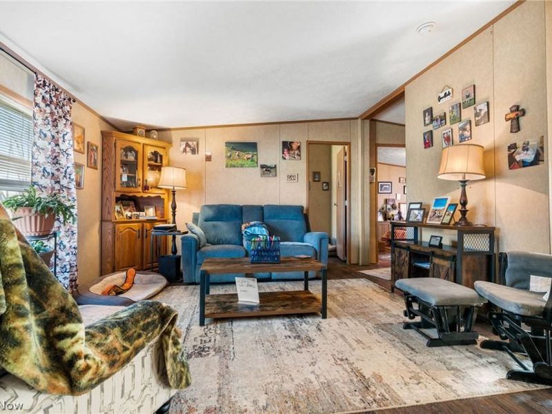 3188 Amsterdam Road SE, Scio, OH 43988 Photo 7