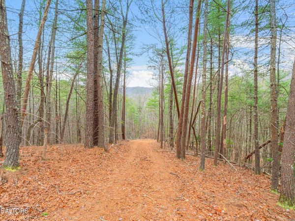 Rafter Rd, Tellico Plains, TN 37385