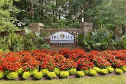 1135 Blue Stem Dr.  photo 4