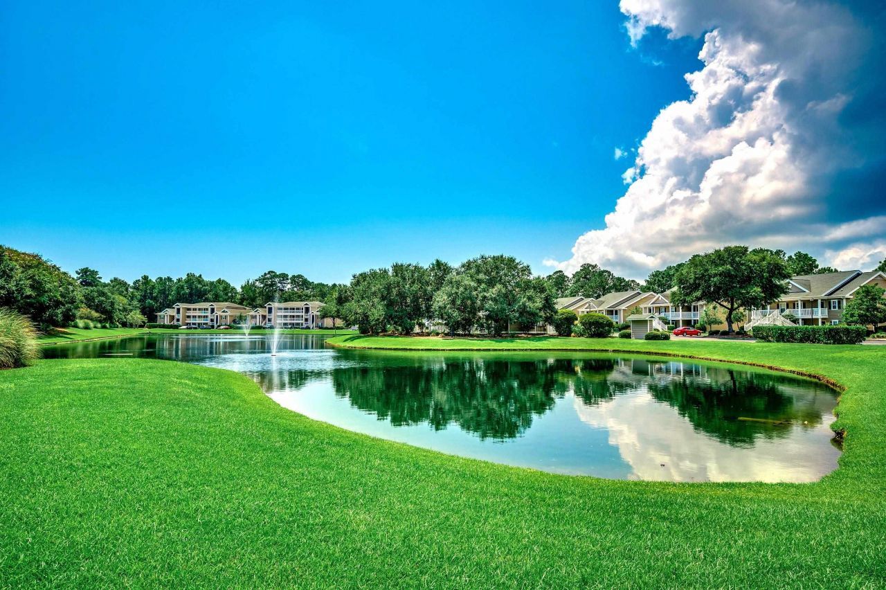 1135 Blue Stem Dr.  Photo 29