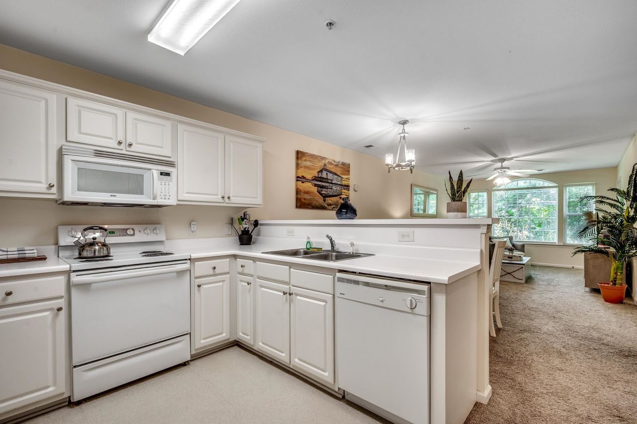 1135 Blue Stem Dr.  Photo 8