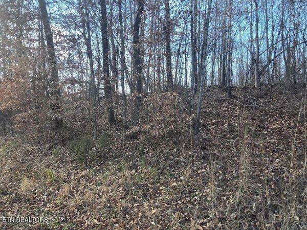 Lot 15 River Rd, Decatur, TN 37322