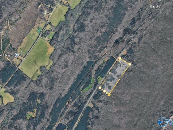 17 NE Acres, Valley Head, AL 35989