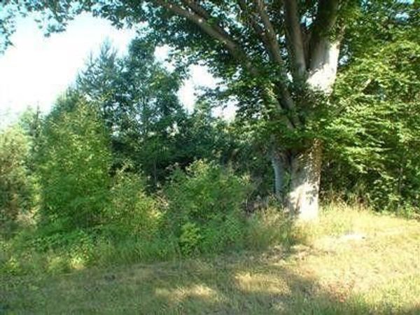 5893 W Austrian Pine Lane, Grant, MI 49327