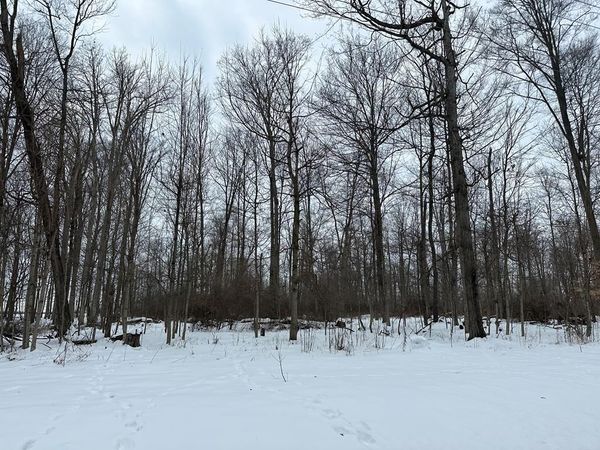 0 Grant Rd, HOWARD, OH 43028