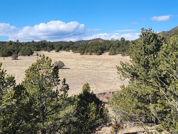 311 Kit Carson Trail , Cotopaxi, CO 81223