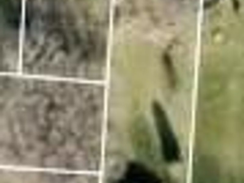 3140 State Route 529 , Cardington, OH 43315 Photo 21