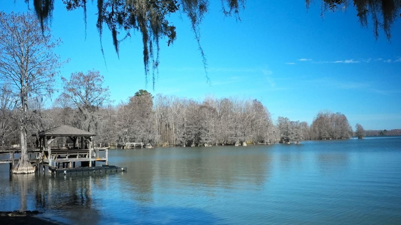 1022 Mulligan Drive Photo 25