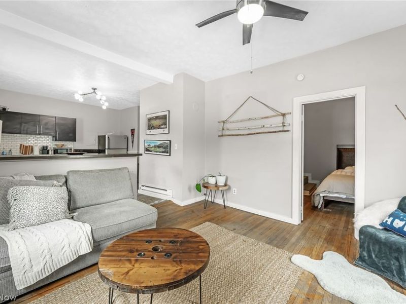 1009 Kenilworth Avenue, Unit 3, Cleveland, OH 44113 Photo 4