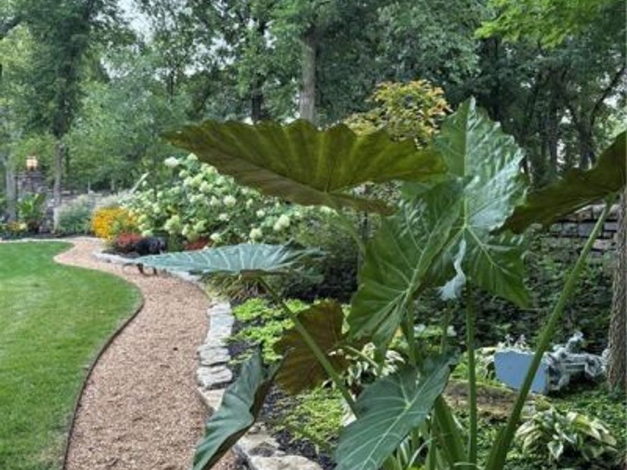 Property Image 71