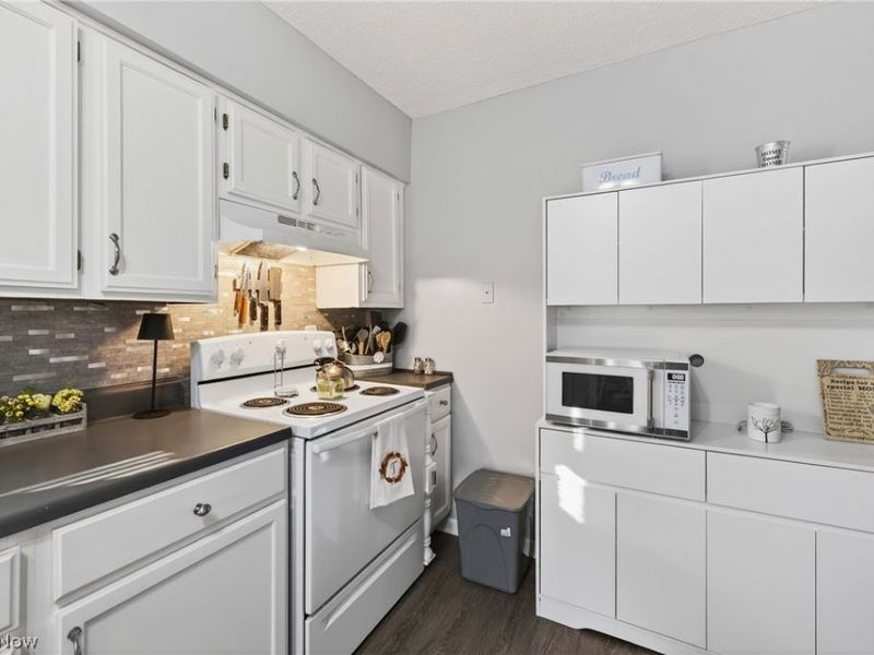 348 East Street, Fairport Harbor, OH 44077 Photo 21