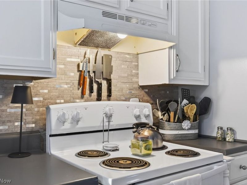 348 East Street, Fairport Harbor, OH 44077 Photo 23