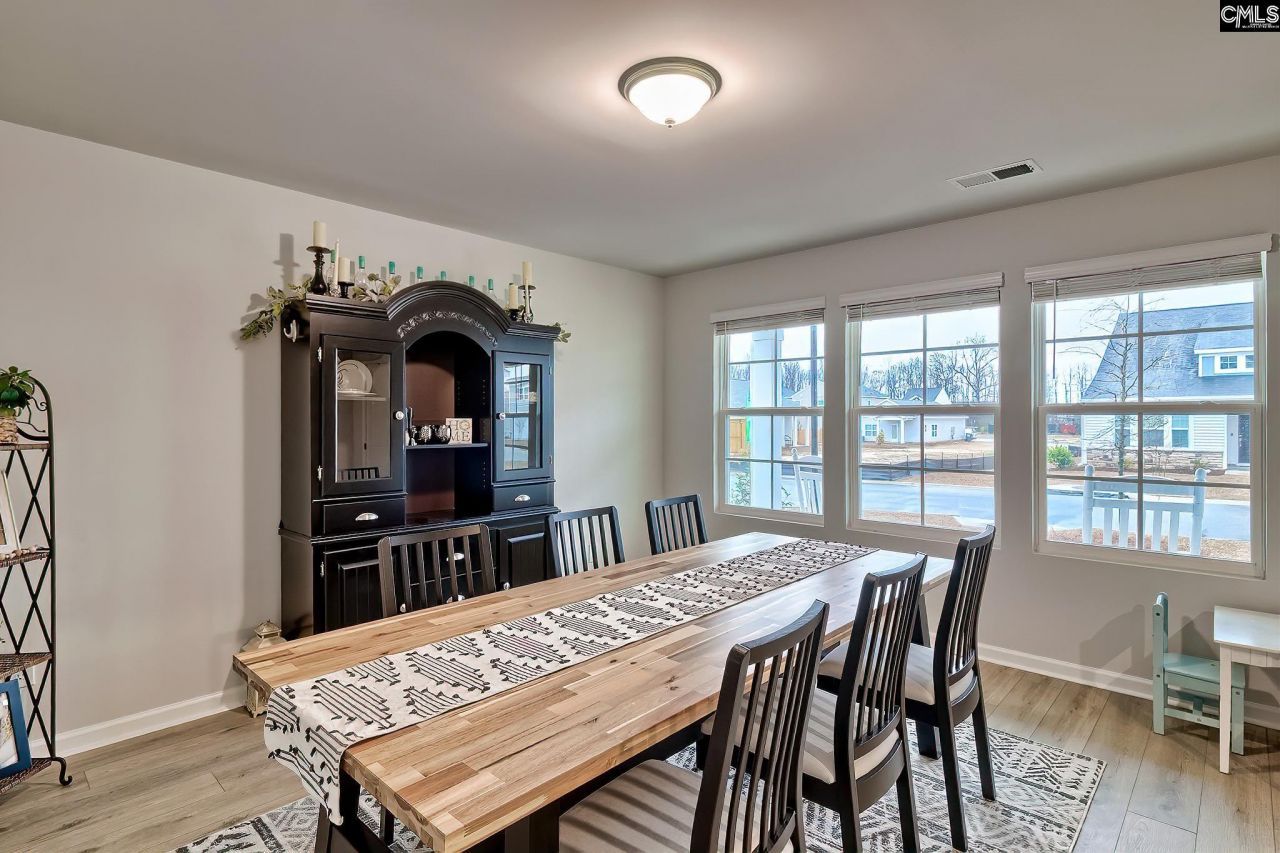 747 Clementine Run  Photo 9